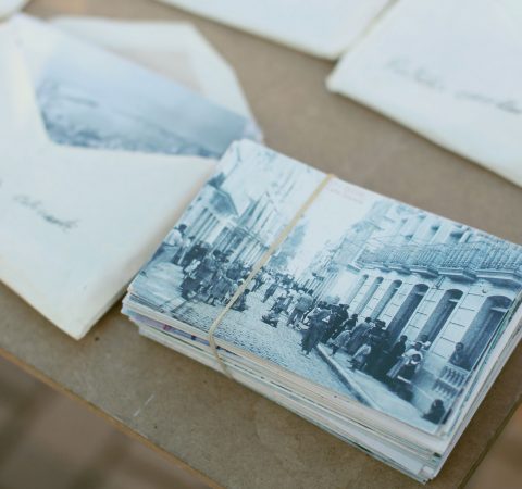 zz-newsletter-1.jpg